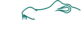 Logotipo Saltie